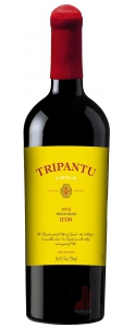 Tripantu Icon